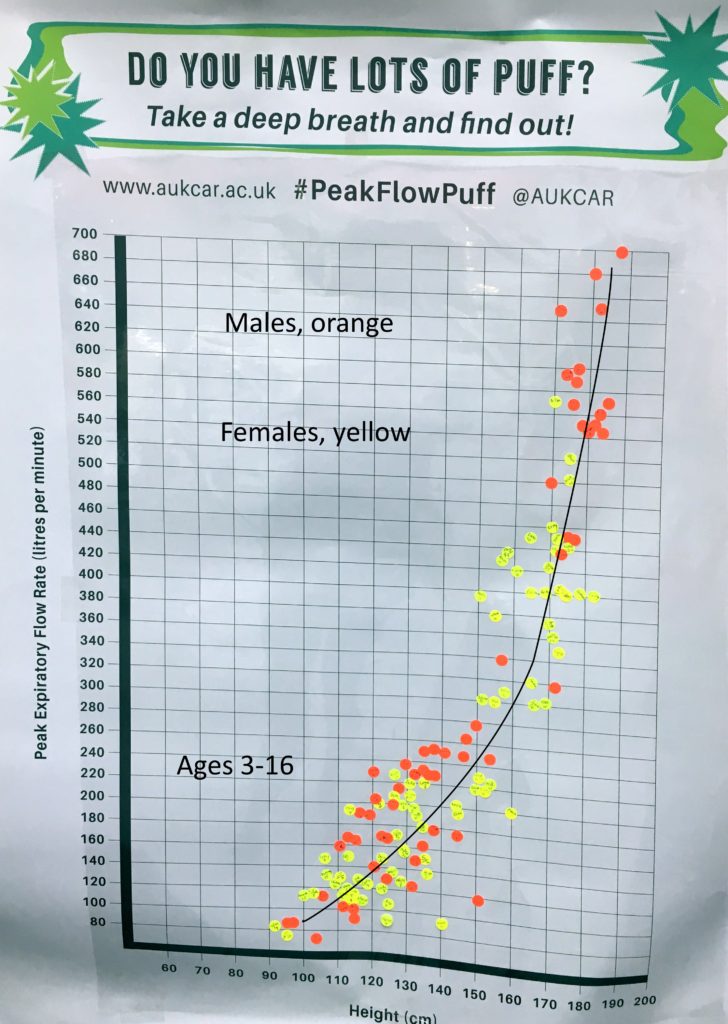 Final Chart