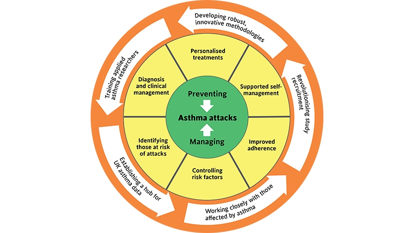 Diagram describing our areas of work